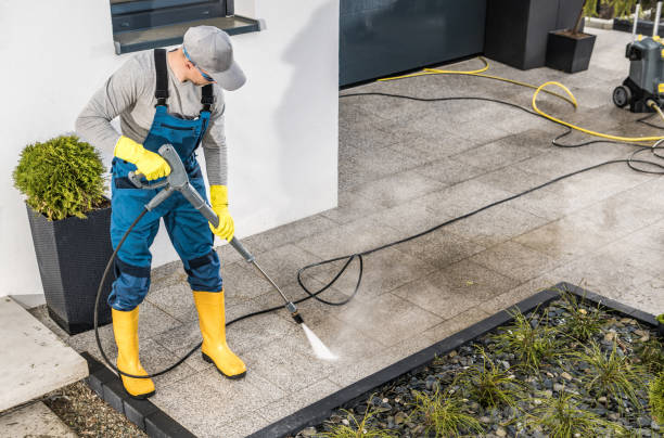 Best Pressure Washing Near Me  in La Junta, CO
